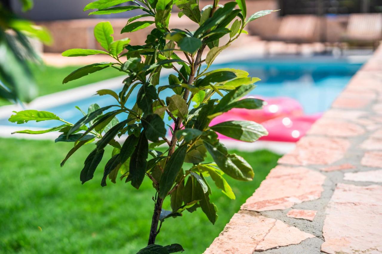 Marival Luxury Living - Adults Only Διαμέρισμα Σύβοτα Εξωτερικό φωτογραφία