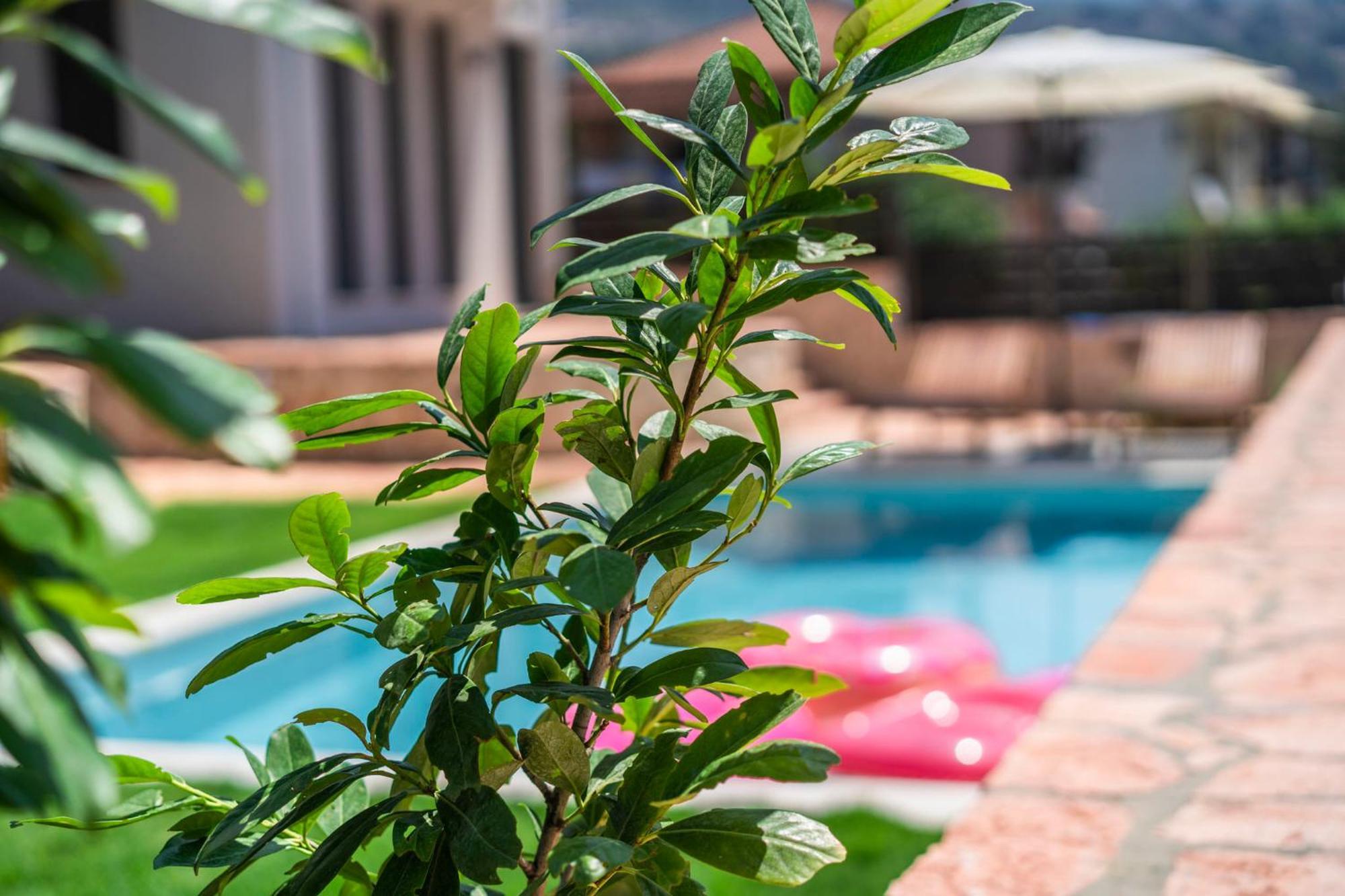 Marival Luxury Living - Adults Only Διαμέρισμα Σύβοτα Εξωτερικό φωτογραφία